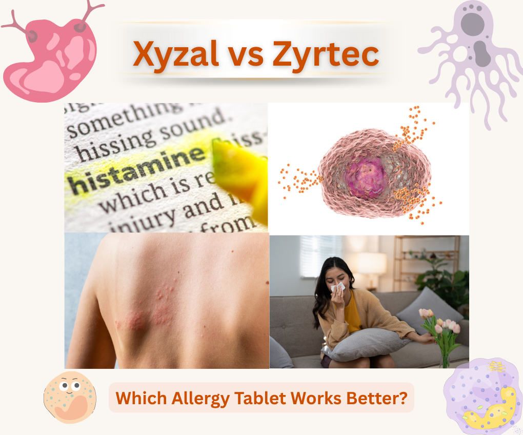 Xyzal vs Zyrtec: Which Allergy Tablet Works Better?